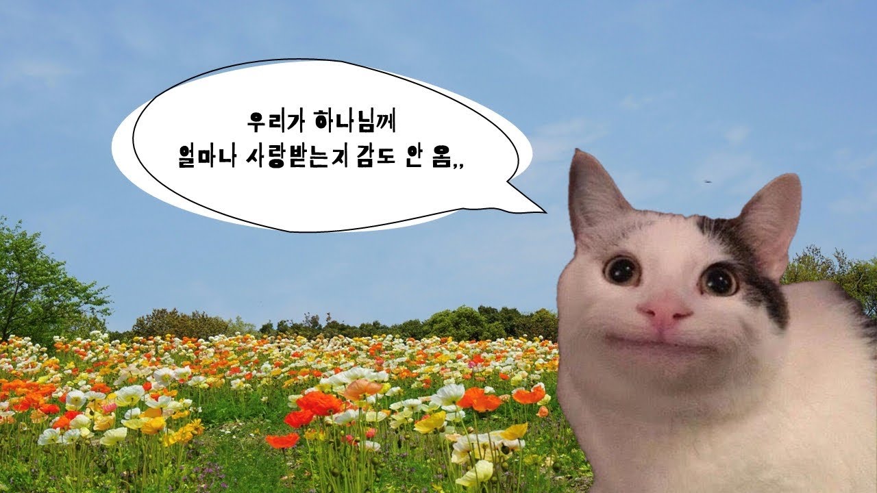 [CCM Playlist] 하나님의 사랑을 온전히 느끼는⭐️ 신나는 찬양 플레이리스트✨