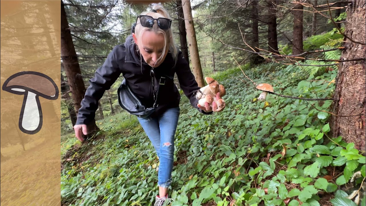 🍄PilzGlück 05. Oktober 2024 - Steinpilzausflug