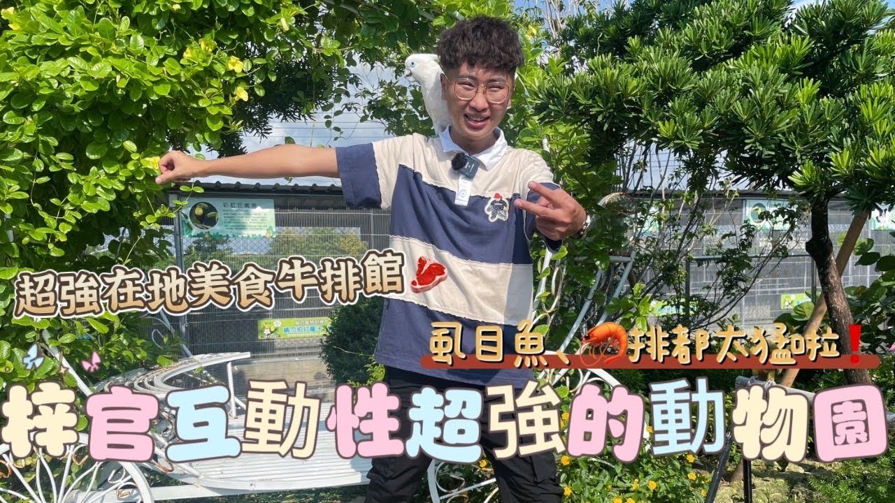【高雄旅遊】梓官竟有互動性超高的動物園❗️意外尋獲超強在地美食牛排館‼️｜虱目魚排、蝦排都太猛拉～