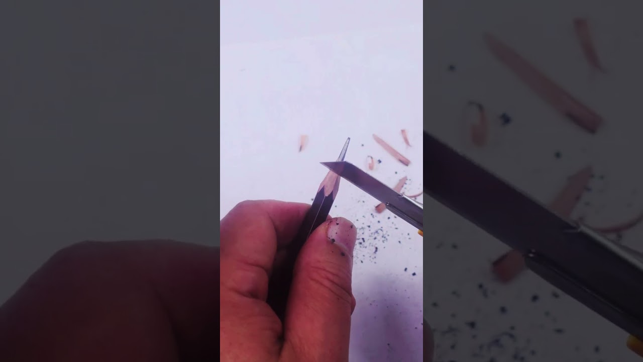 3. Palomino Blackwing 344
