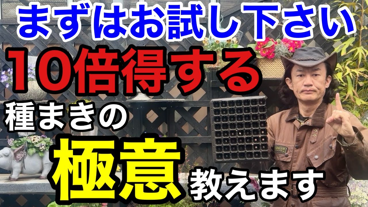 【初心救済】これでダメなら種まきは諦めて下さい。　　　【園芸】【ガーデニング】【初心者】