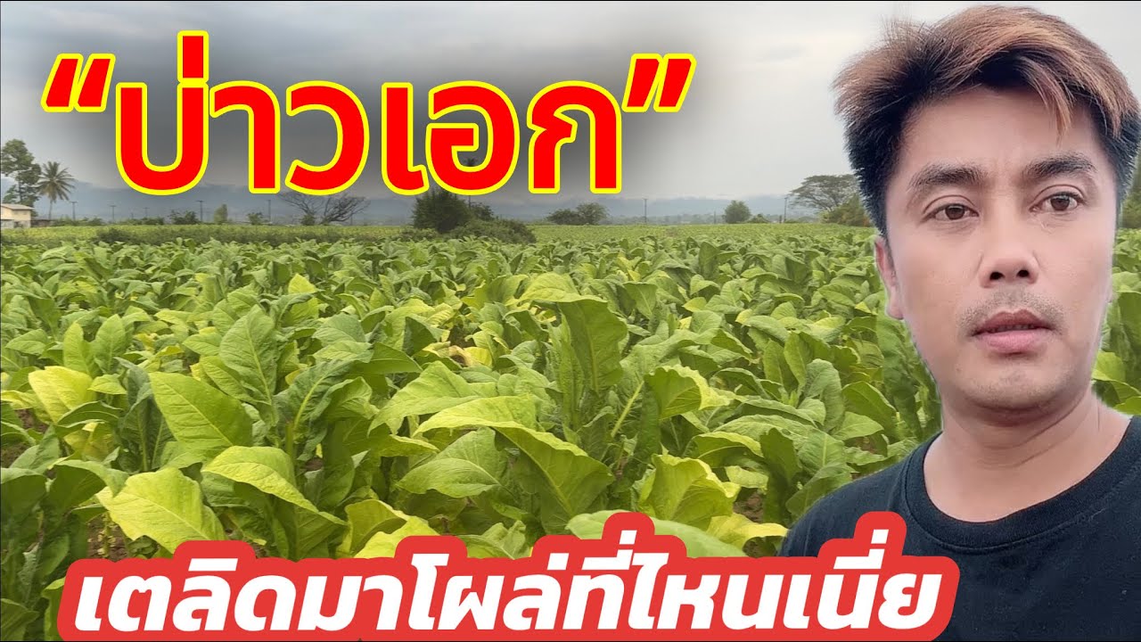 💥งานยกเลิก“บ่าวเอก”เตลิดมาโผล่ที่ไหนเนี่ย..