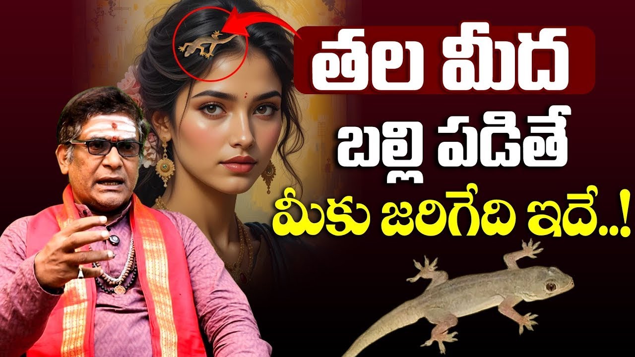 తల మీద బల్లి పడితే మీకు జరిగేది ఇదే..! | Balli Sastram | Effects Of Lizard Falling | 9MaxTv Telugu