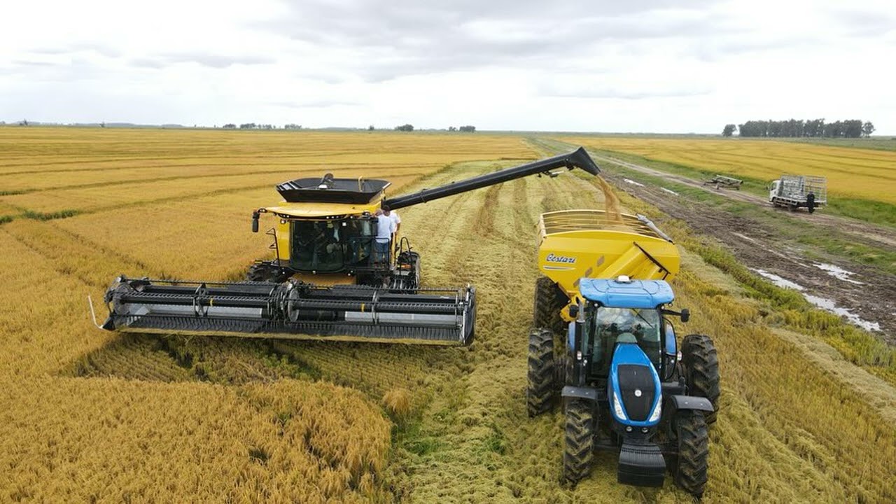 Comasa apuesta a la eficiencia tecnológica para abatir costos en una zafra desafiante