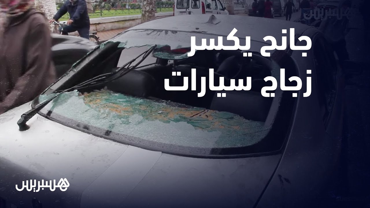 زهاء أربعين سيارة متوقفة.. جانح يكسر زجاج سيارات ليلا في الجديدة