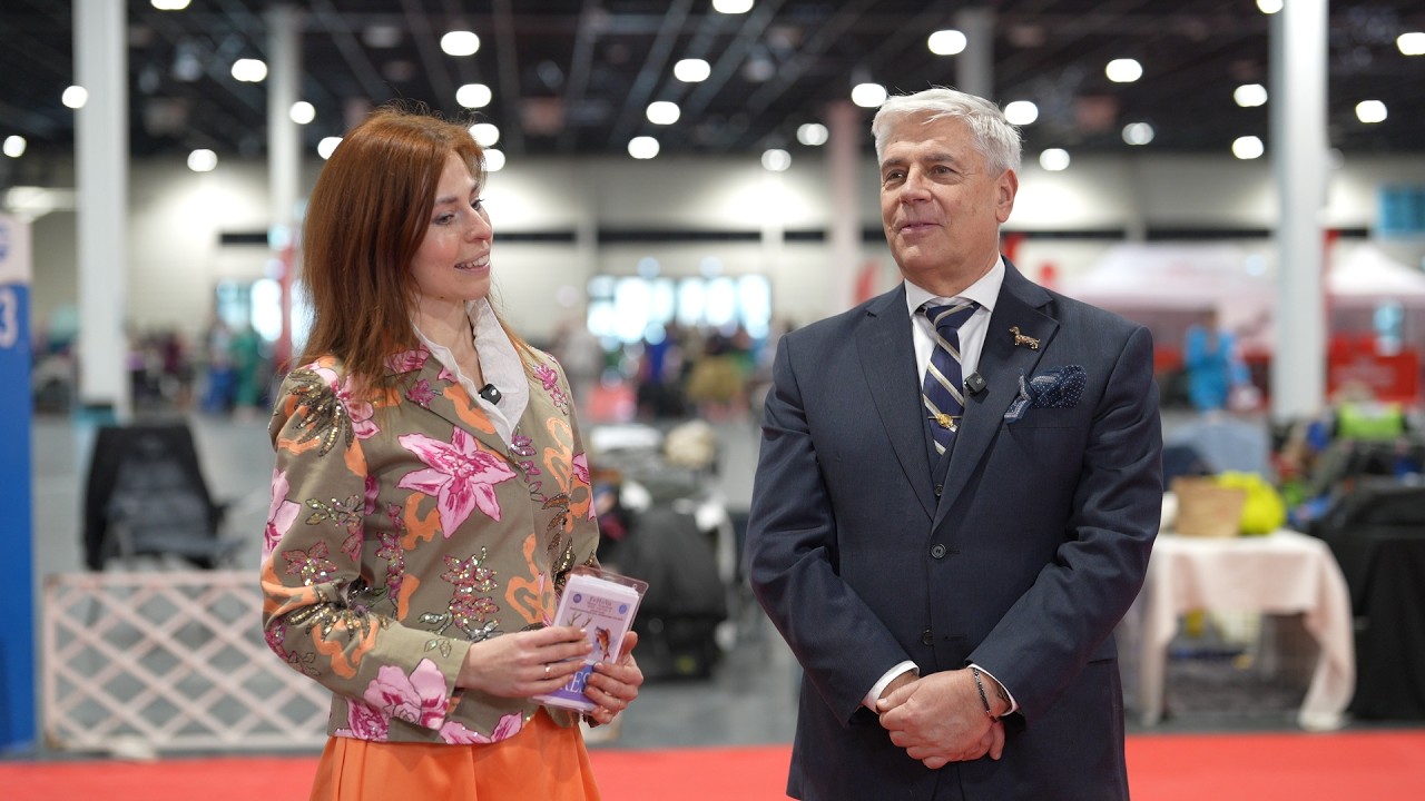 FCI CACIB FeHoVa Kutya kiallitás.