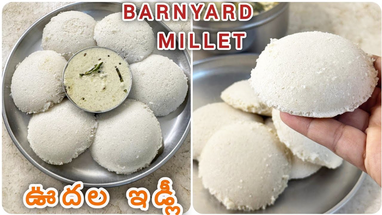 ఊదల ఇడ్లీలు//Oodalu Idli Recipe In Telugu//How To Make Barnyard Millet Idli Recipe In Telugu