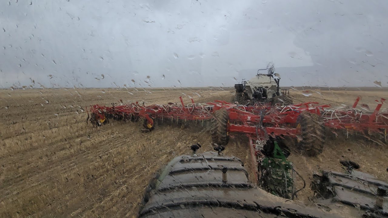 Seeding in the rain!