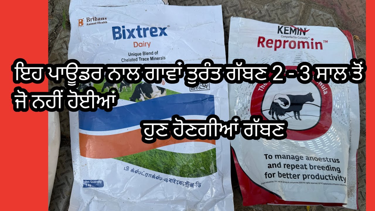 Simple solution to get your cows￼ program ￼fast & natural