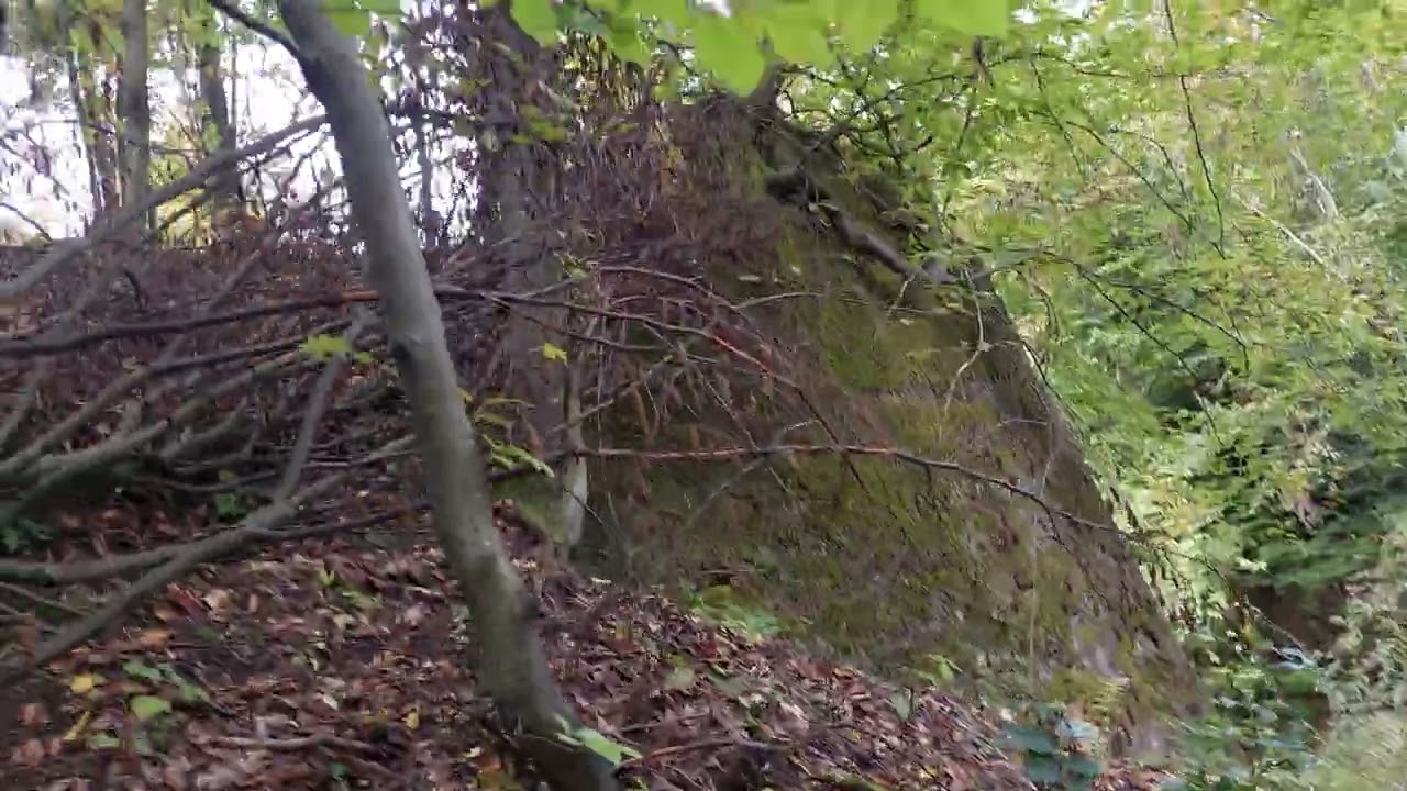 Ostaci uskotračne(šumske ) pruge