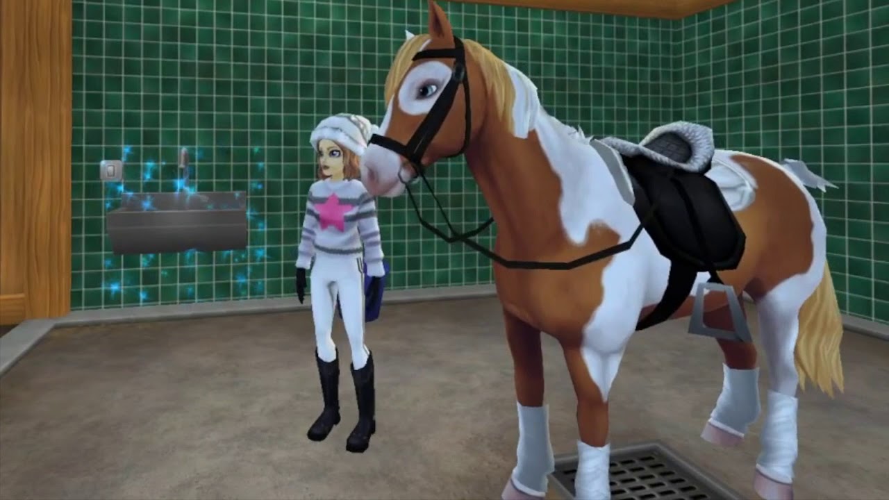 Was denkt mein Pferd Chippie ?