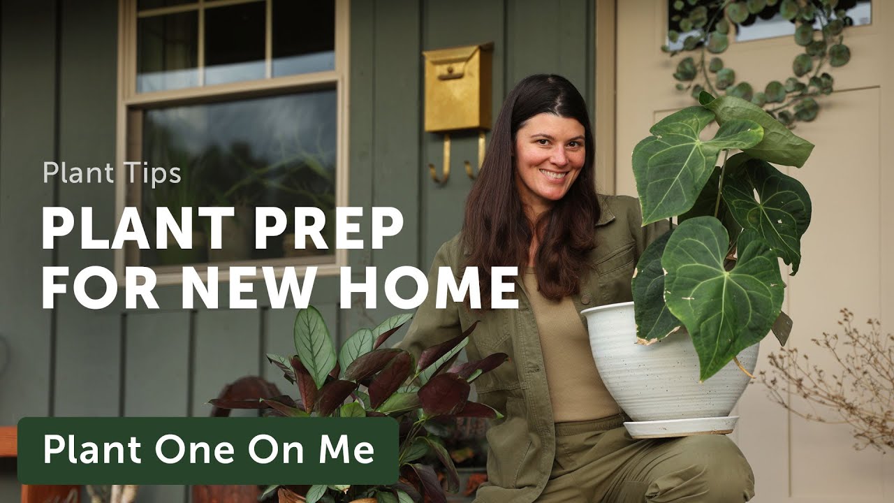 PLANT PREP for the NEW COTTAGE  &mdash;&nbsp;Ep. 343