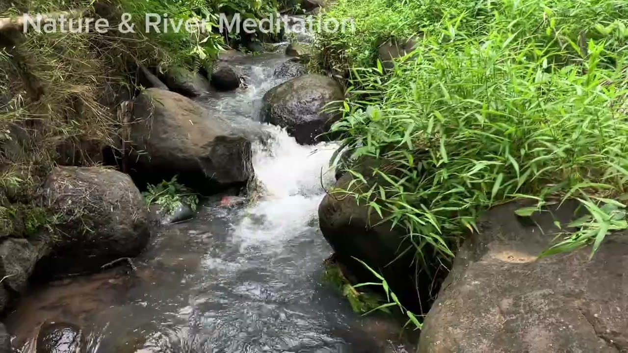 🌿 1 Hour Natural River Sounds | Deep Relaxing Water ASMR for Sleep, Study & Meditation