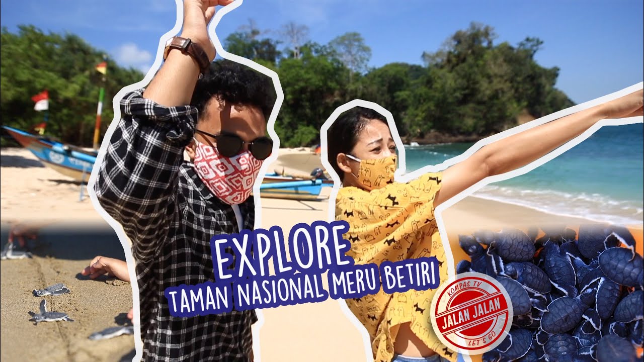 EXPLORE TAMAN NASIONAL MERU BETIRI BANYUWANGI