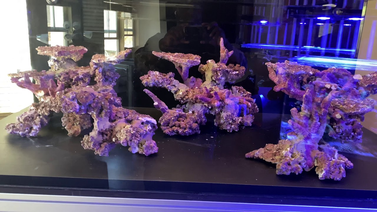 New Build 2020