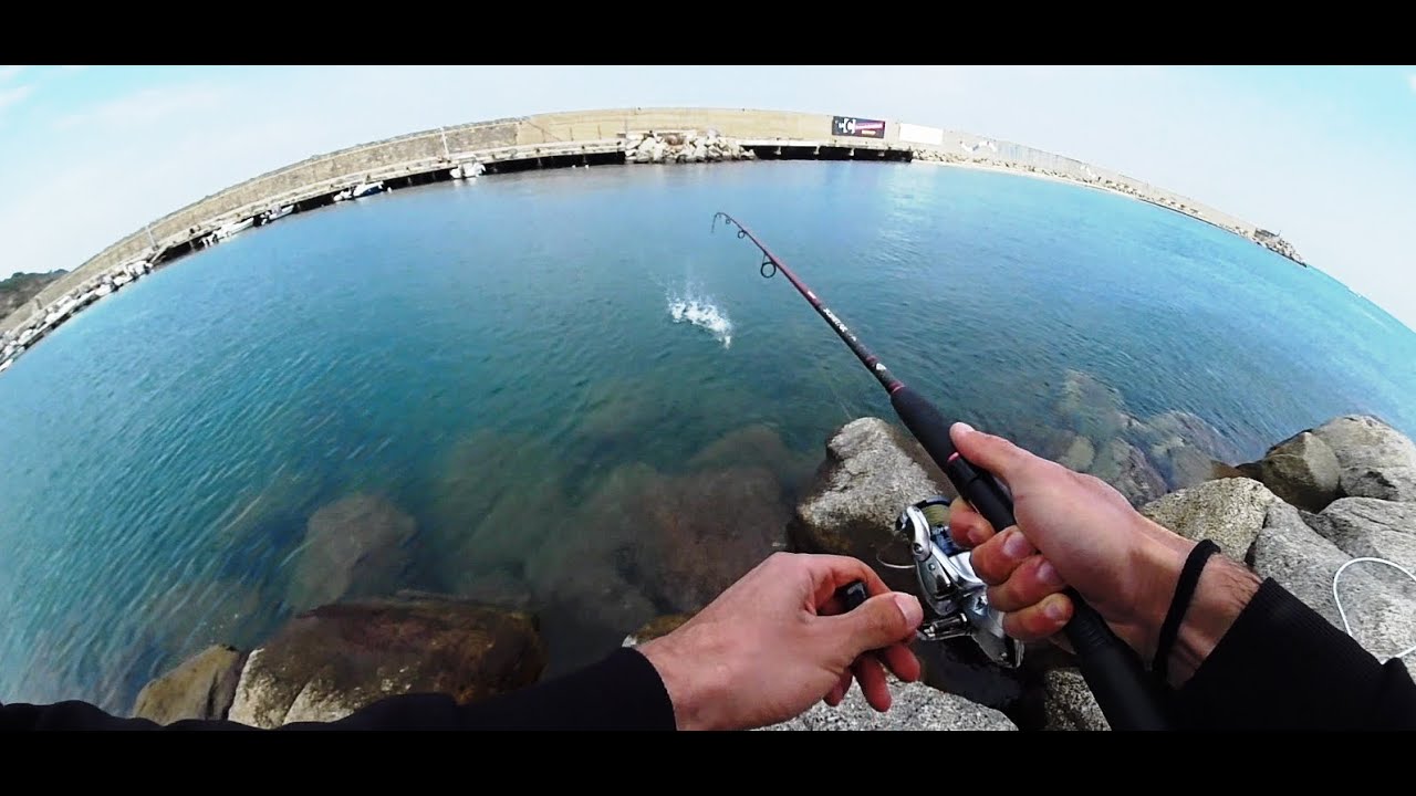 FISHING IN PARADISE -LE EMOZIONANTI CATTURE NELLA MERAVIGLIOSA TROPEA! RIPRESE AEREE 4K