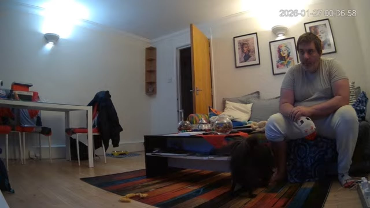 🔴 24/7 LIVE: Italian Couple in London - Real Life [LIVING ROOM 🛋️] - MiGIPepeVibes - Cam 1