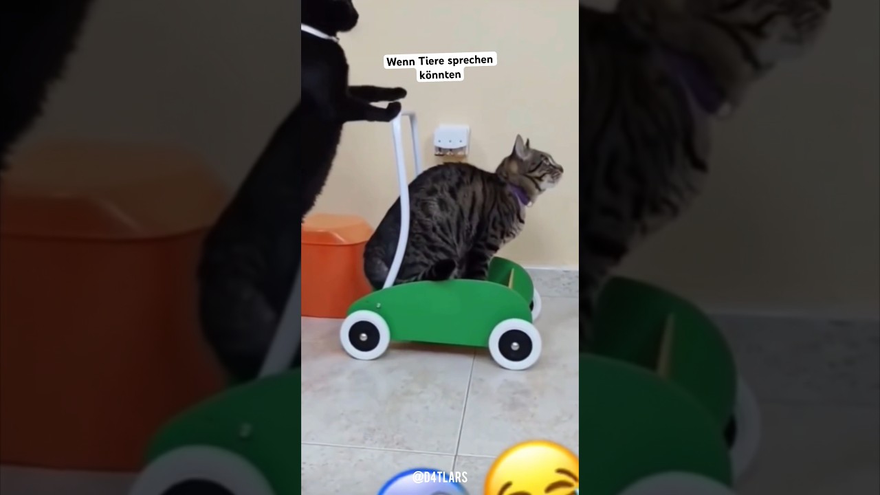 Wenn Tiere sprechen könnten 