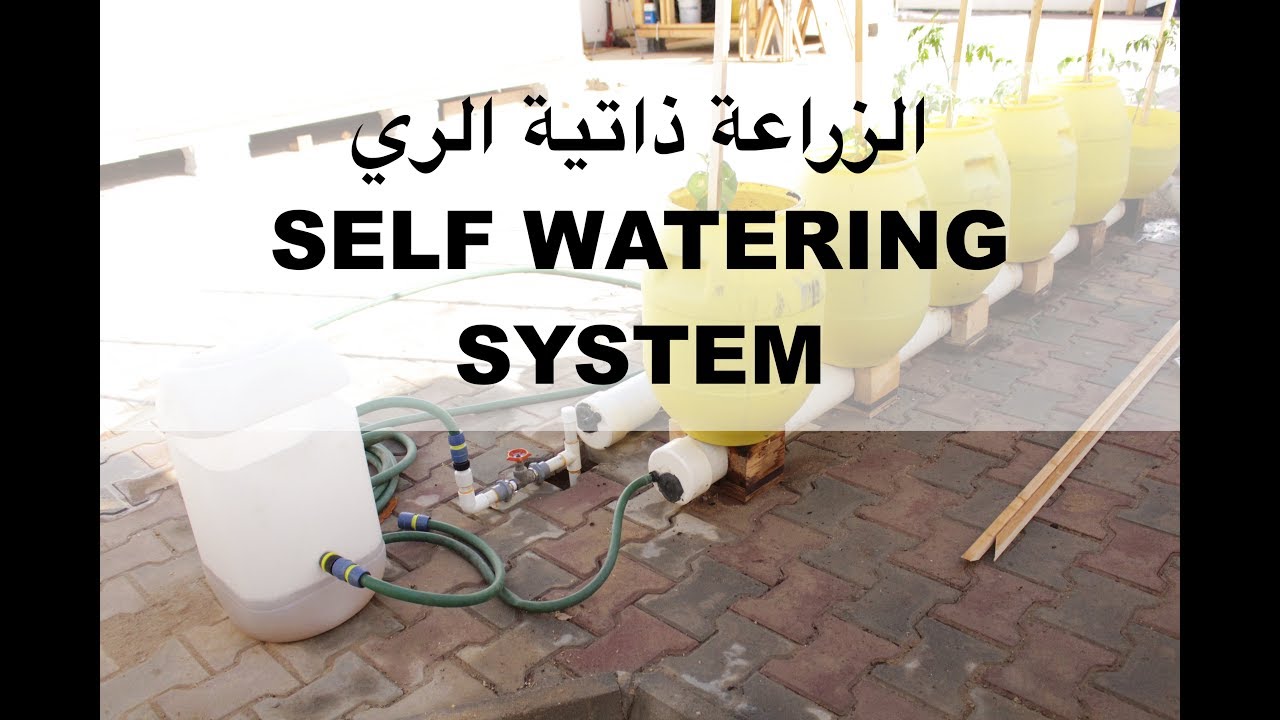 الزراعة ذاتية الري في برميل SELF WATERING CONTAINER