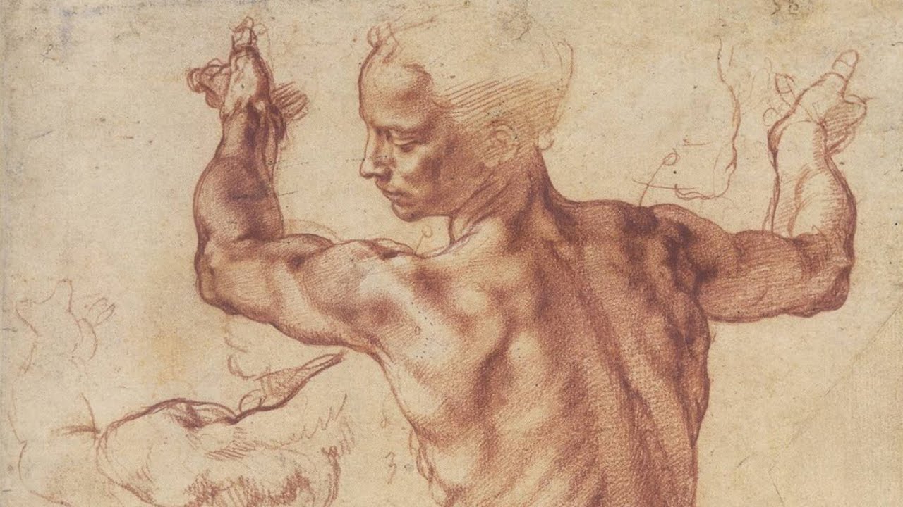 Human Anatomy - Anatomy Master Class