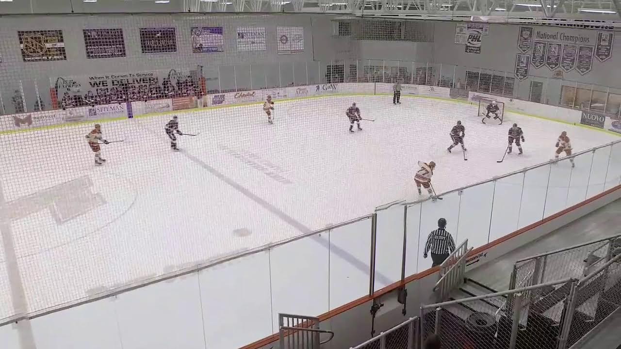 Niagara Purple Eagles vs Maryville Saints | Men's DI Hockey