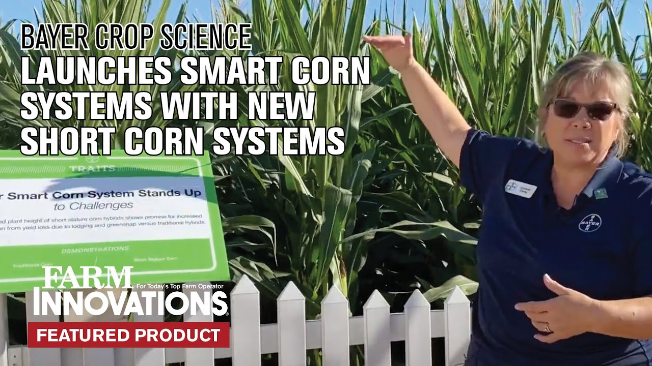 Bayer Crop Science Launches Smart Corn Systems with New Short Corn Systems