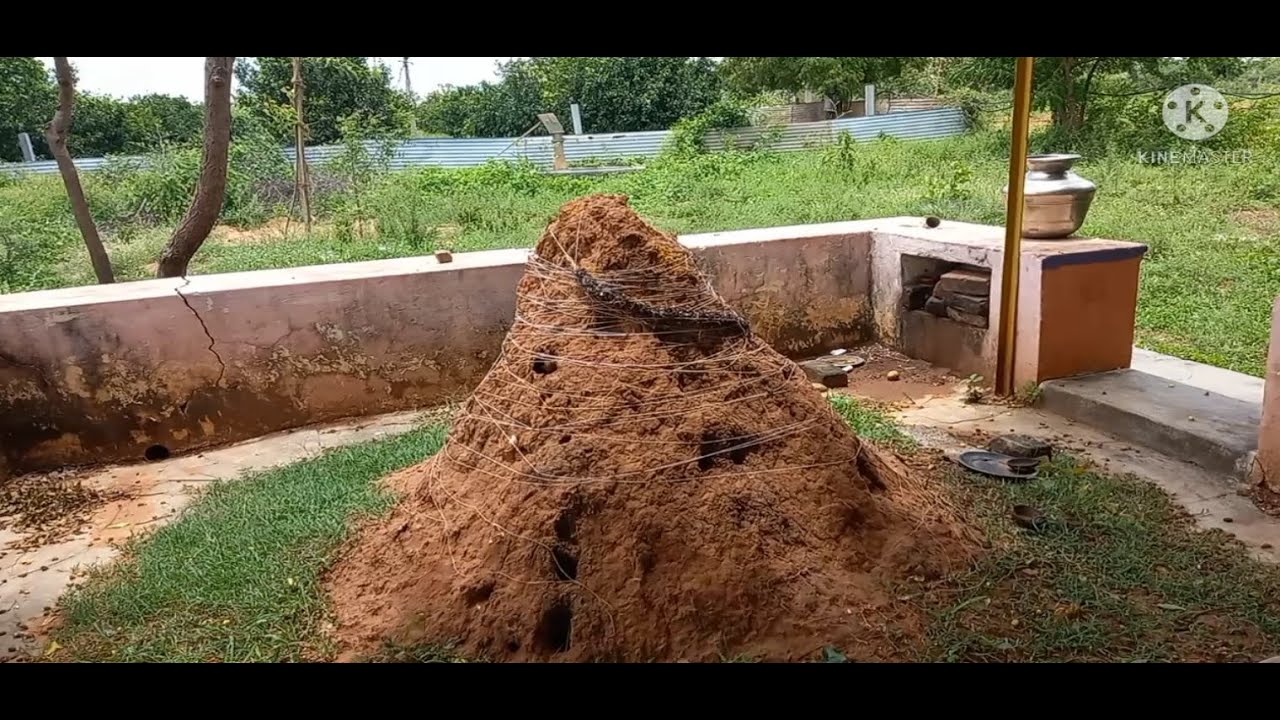 Maa oori Nagendra swami putta || nagula chavithi
