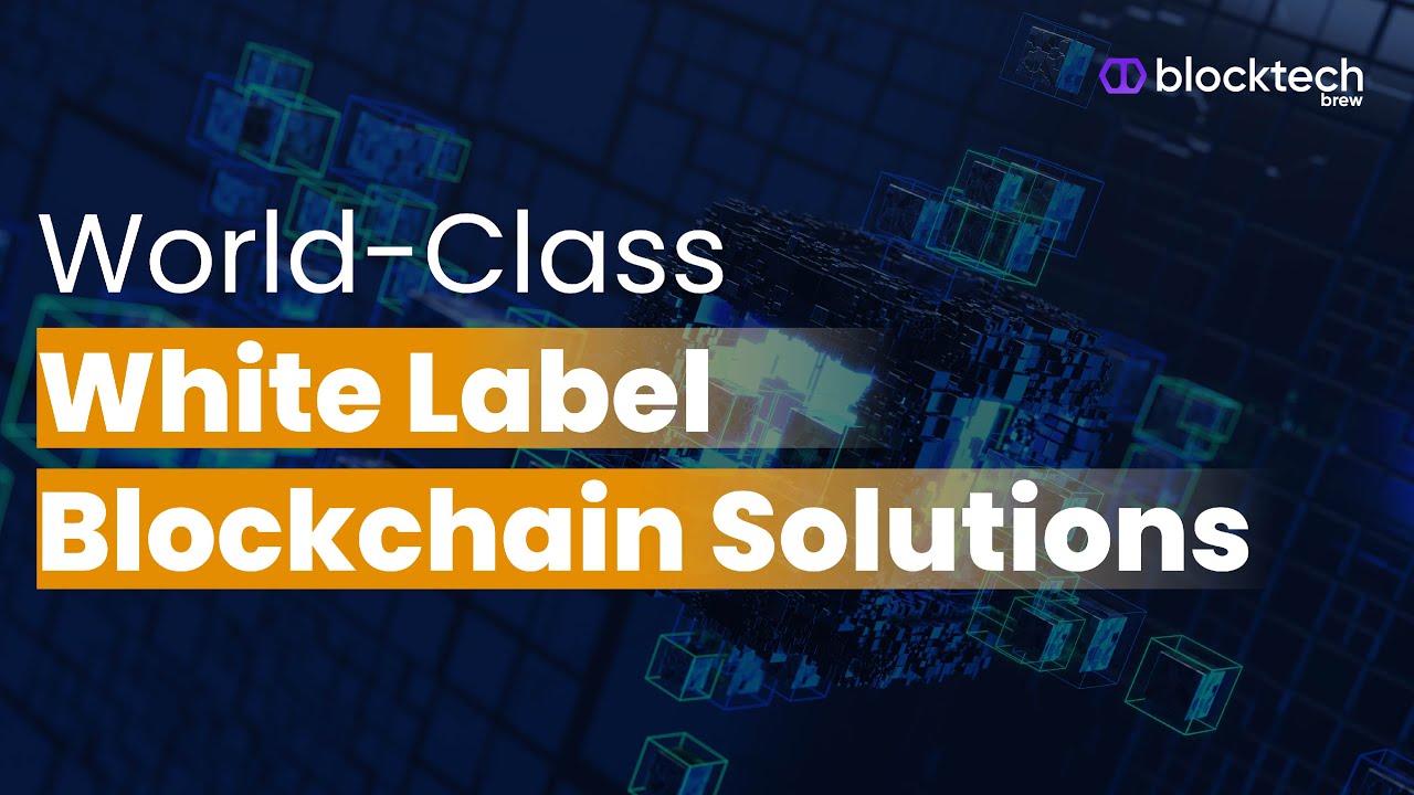 Get World-Class White Label Blockchain Solutions (Exchanges, Wallets, NFTs and more...)