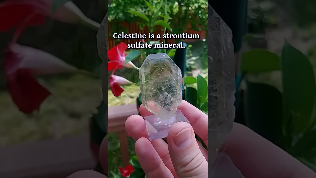 Is It Celestine or Celestite? #crystal #gems #minerals #specimens #science #mining #nature