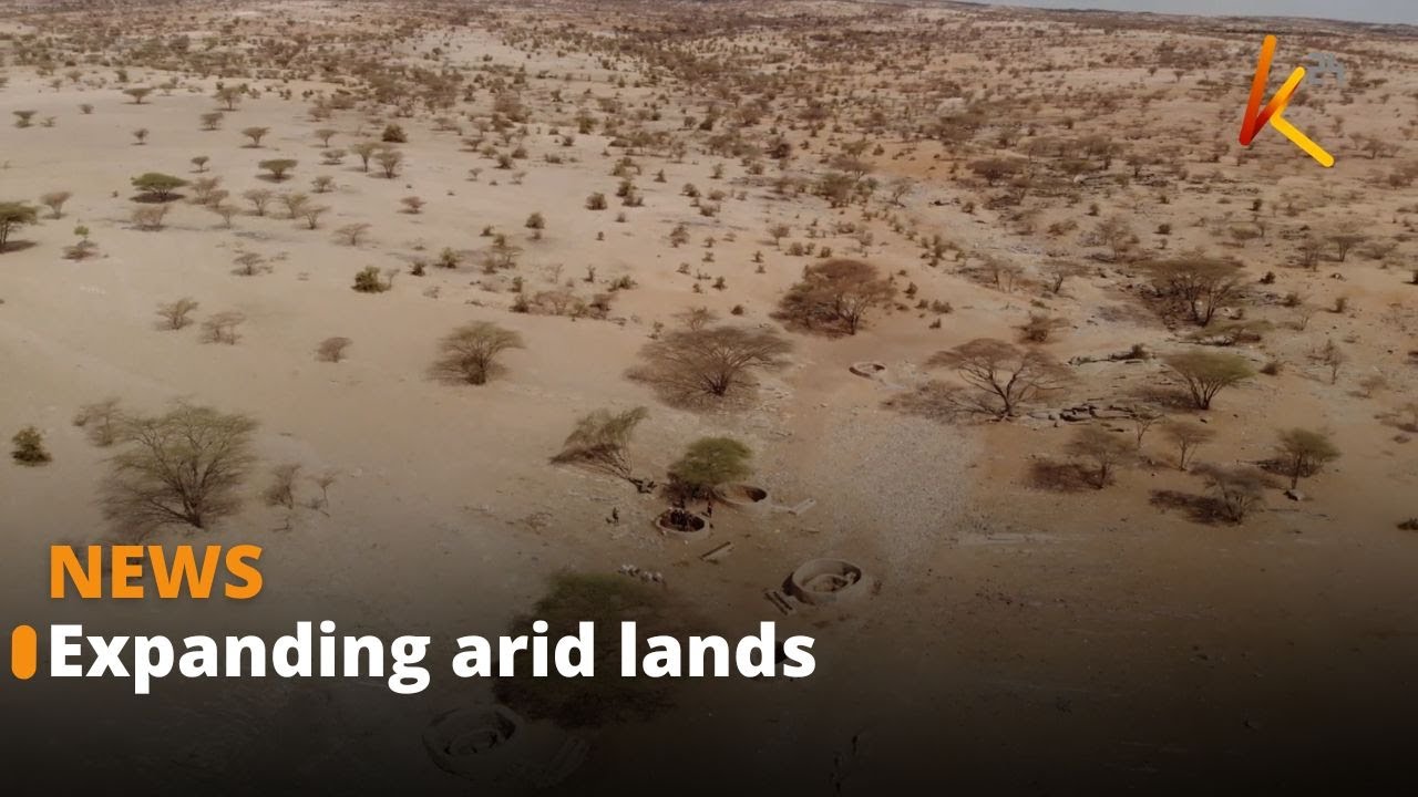 Many areas turning into arid and semi-arid regions at an alarming rate