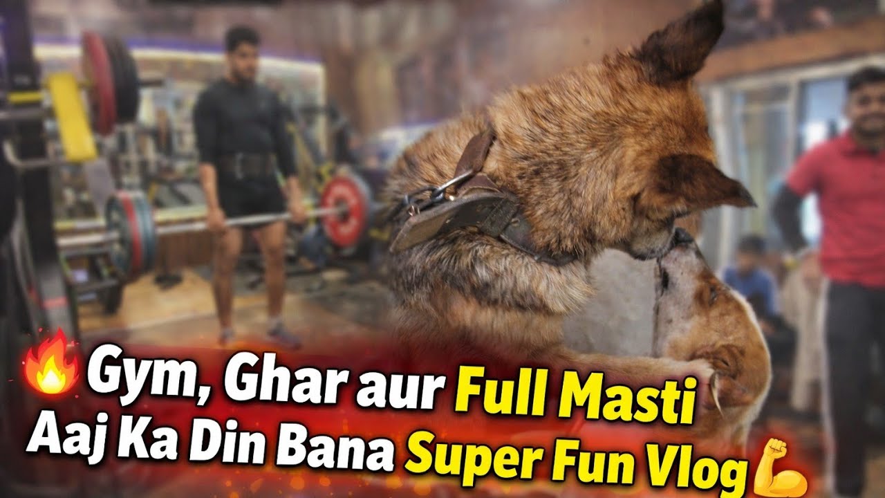 🔥 Gym, Ghar aur Full Masti | Aaj Ka Din Unexpected Ho Gaya! 😲 Bholu vlogs