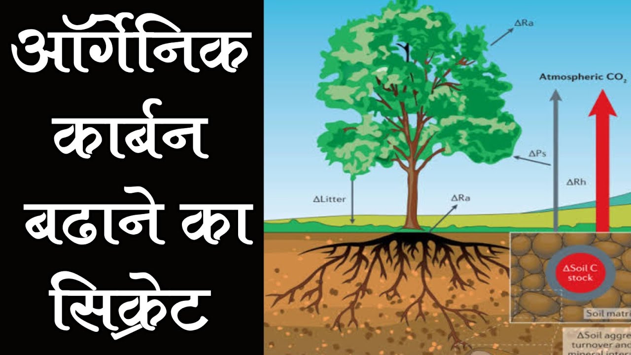 ॲार्गेनिक कार्बन बढाने का सिक्रेट । Organic Carbon