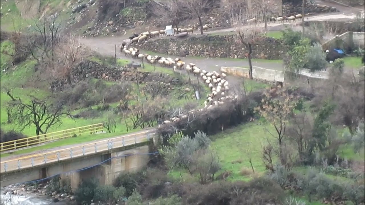 HACILAR HASSA HATAY