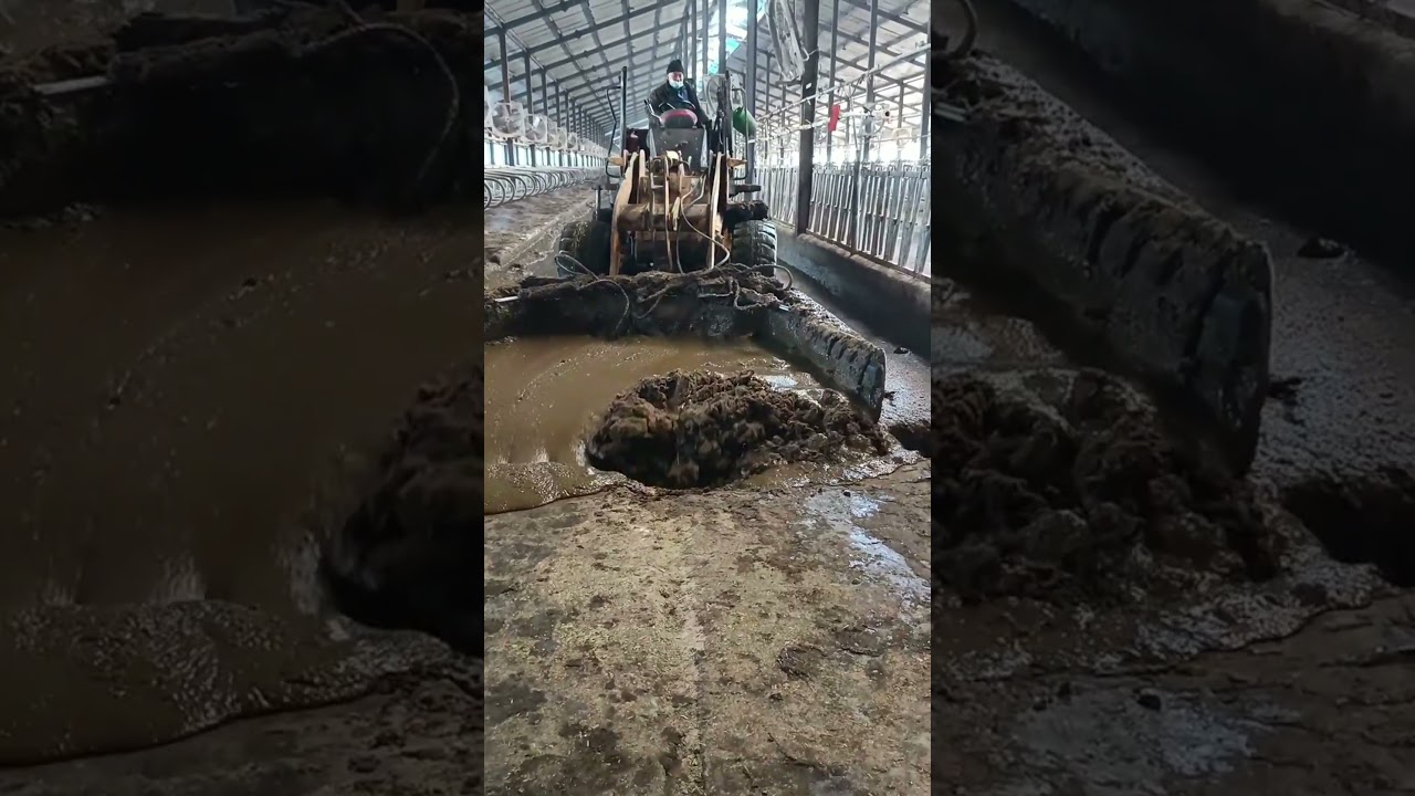 It is a good idea for livestock farms to build biogas digesters to ferment manure to get biogas !