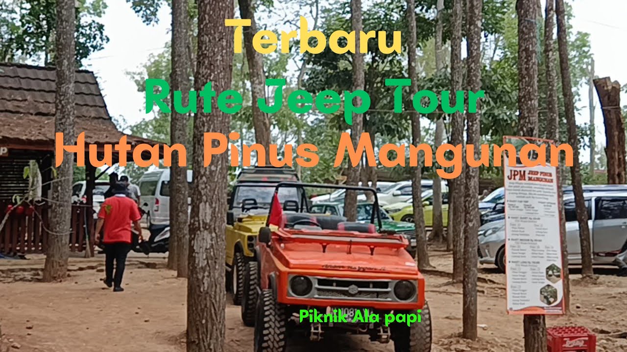 Terbaru!! Rute Jeep Tour Hutan Pinus Mangunan | Bukit Lintang Sewu | Pasar Kaki Langit