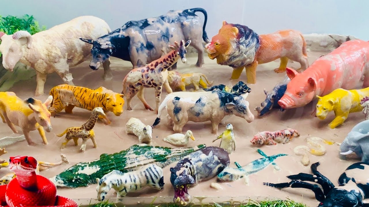 Les animaux en français | Apprendre en s’amusant | Apprendre en jouant
