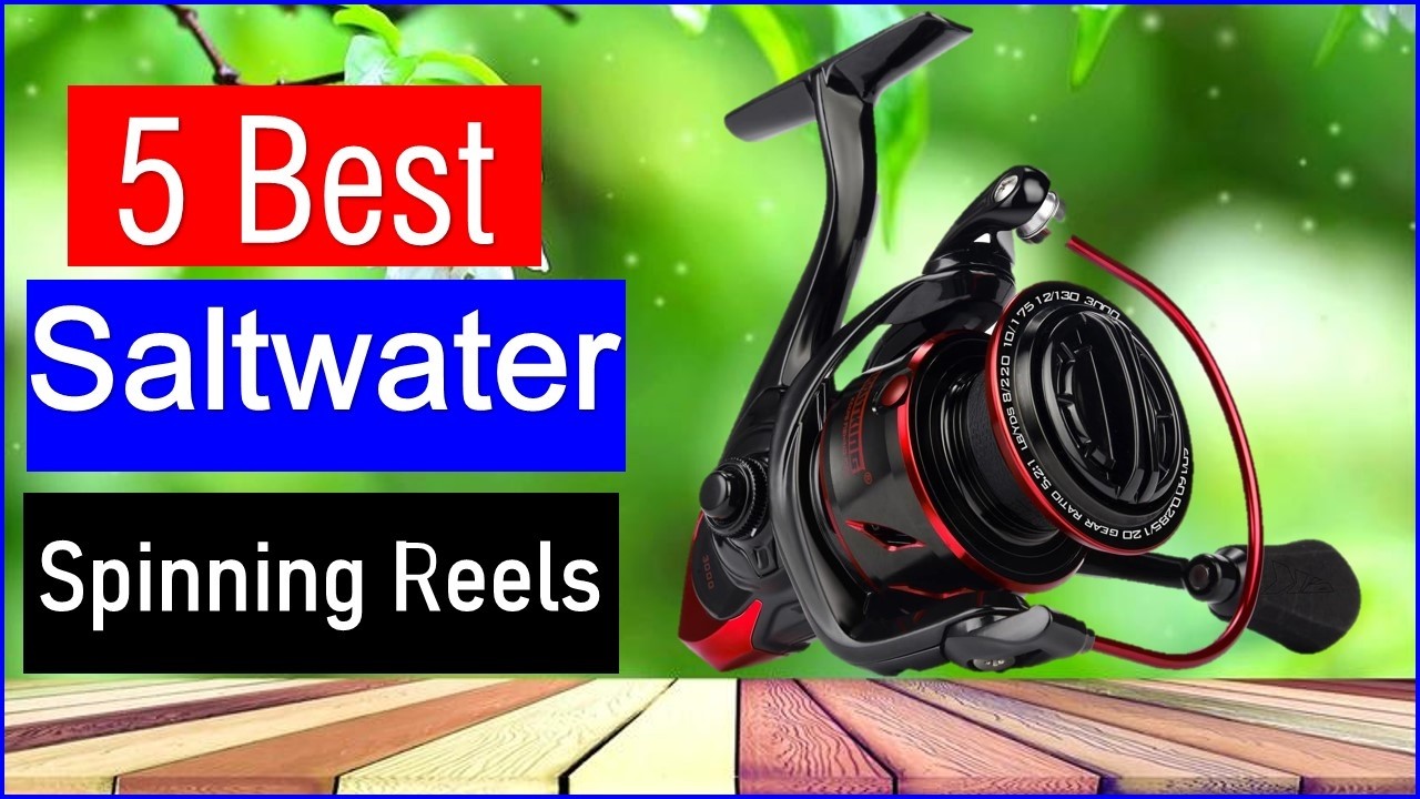 Best Saltwater Spinning Reels in 2026 | Top 5 Best Spinning Reels - Review
