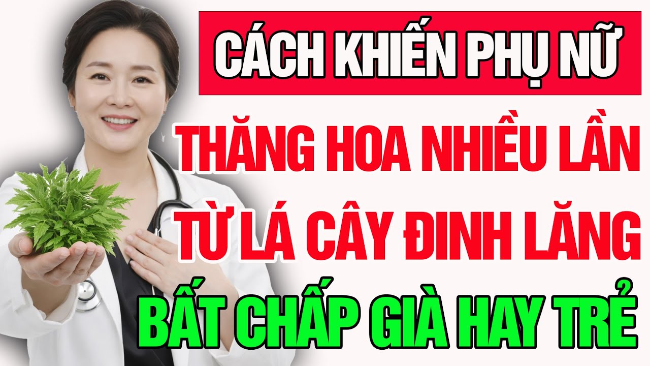 3 Cách Chữa Yếu Sinh Lý Từ Lá Đinh Lăng Tại Nhà Không Cần Thuốc | Sinh Lý Nam Tuổi U50