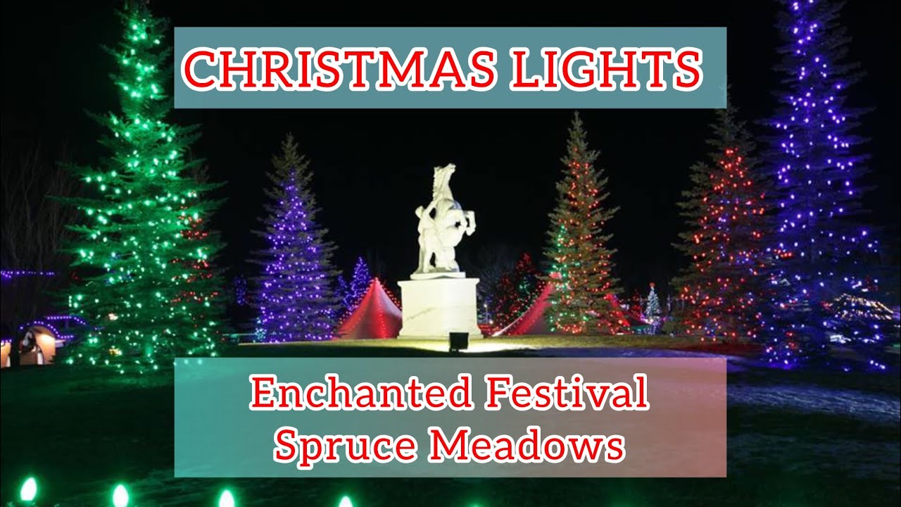 Enchanted Festival | Spruce Meadows Lights #christmas #lights #calgary #winteractivity #lightshow 
