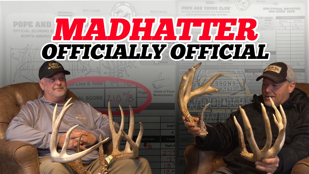 Madhatter | Officially Official