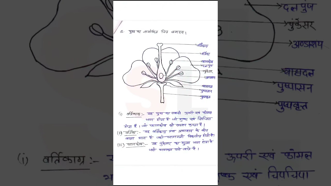 Class10 Biology Notes pdf 