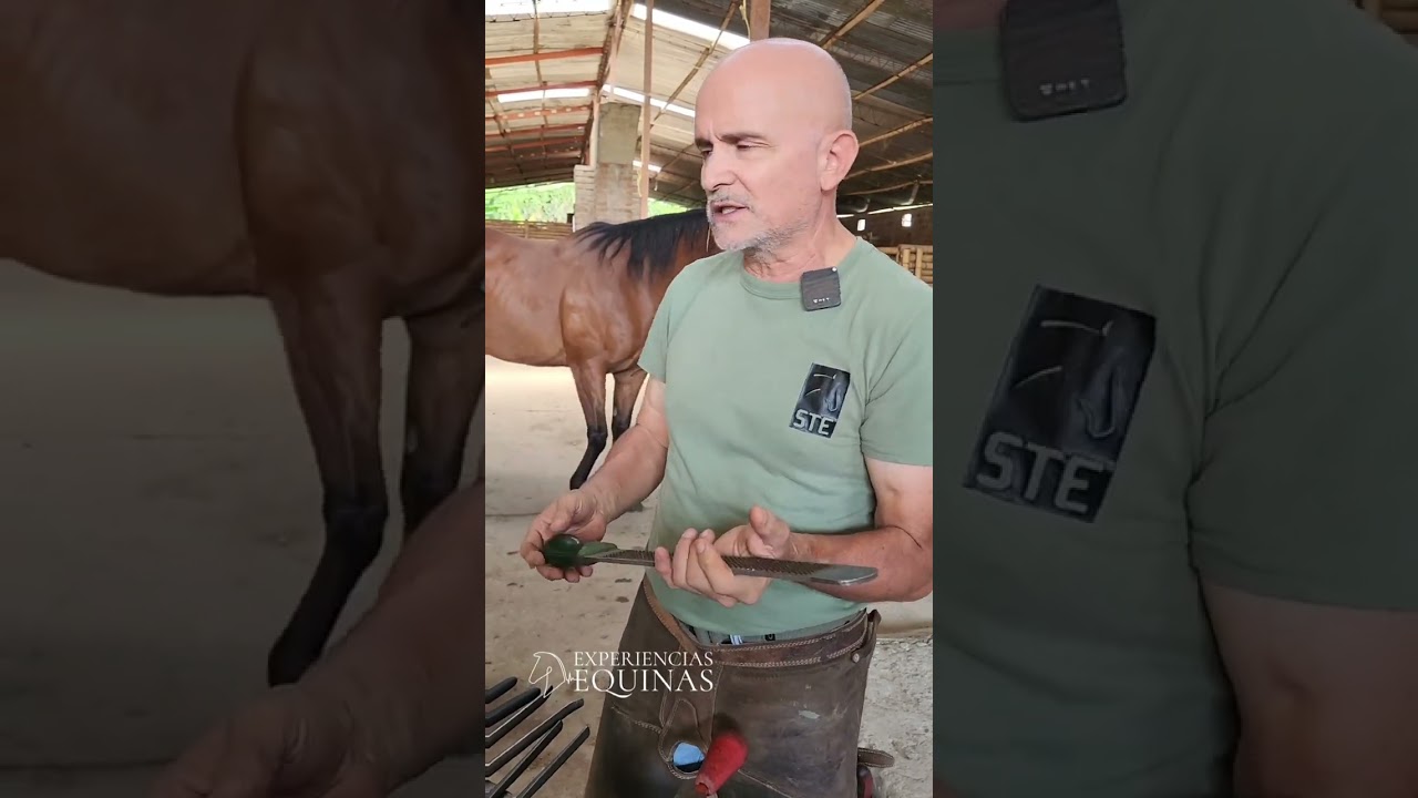 Tipo y uso de herramienta utilizada para herrar caballos.