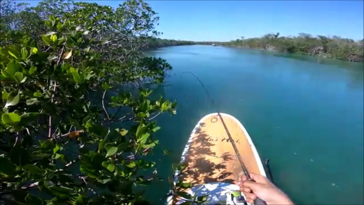 PADDLE BOARD FISHING EXPLORING THE FLORIDA KEYS