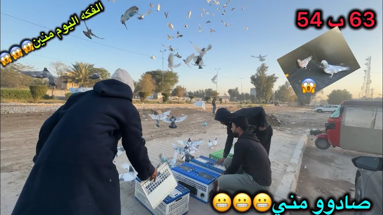 الفكه اليوم فووول😱شوفو شكد صادو مني😭هاي الطيره ما تفيد بعد👌👌👌👌
