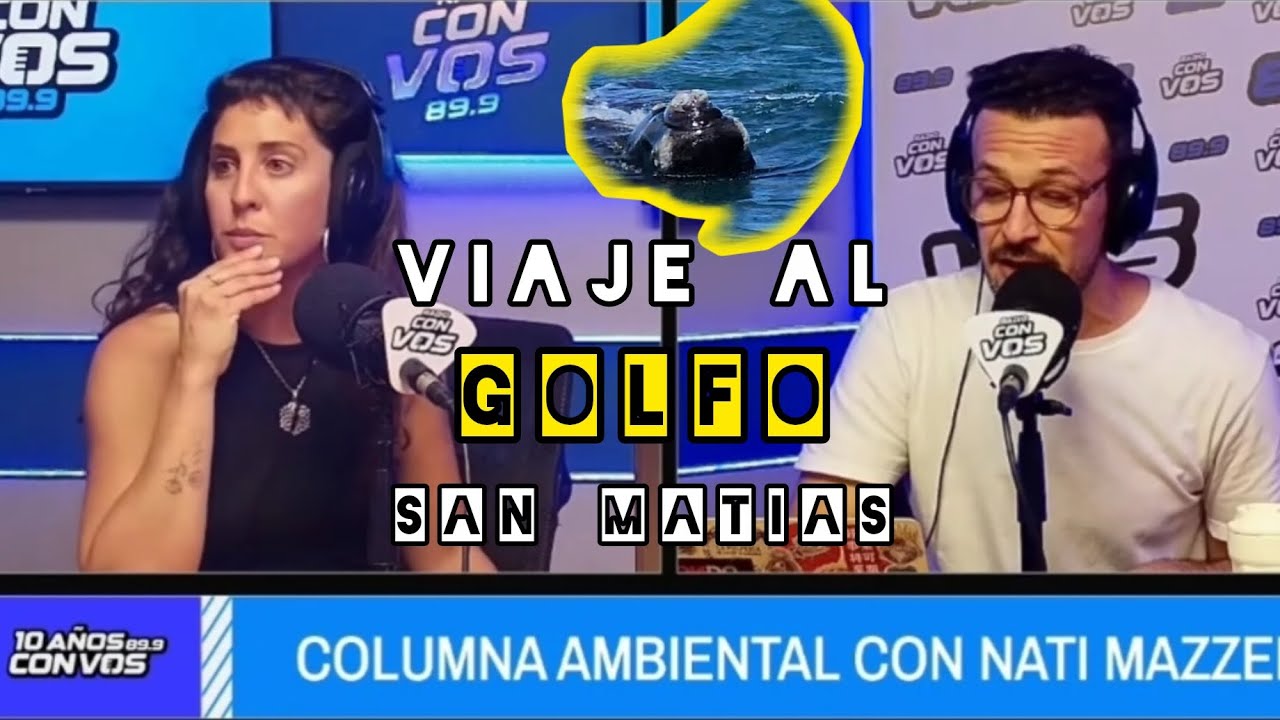 ¿Por qué hay que conocer y cuidar el Golfo San Matías? Columna Ambiental | Ecointensa| Pasaron Cosas