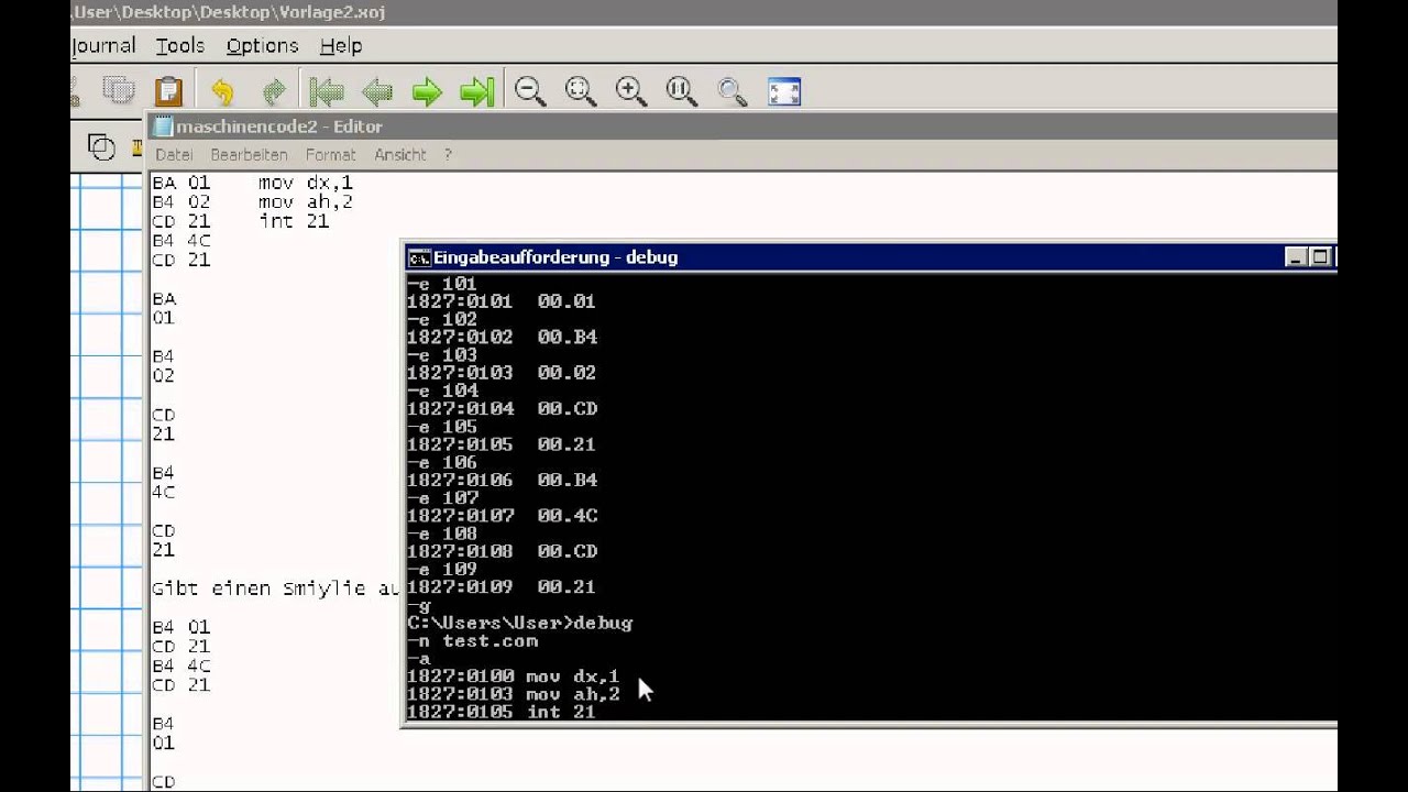 Im Maschinencode programmieren (HD)