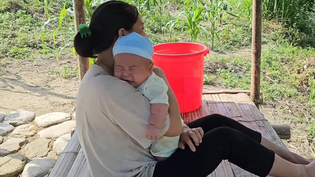 Single Mom Brings Home a Threshing Machine for Harvest Season