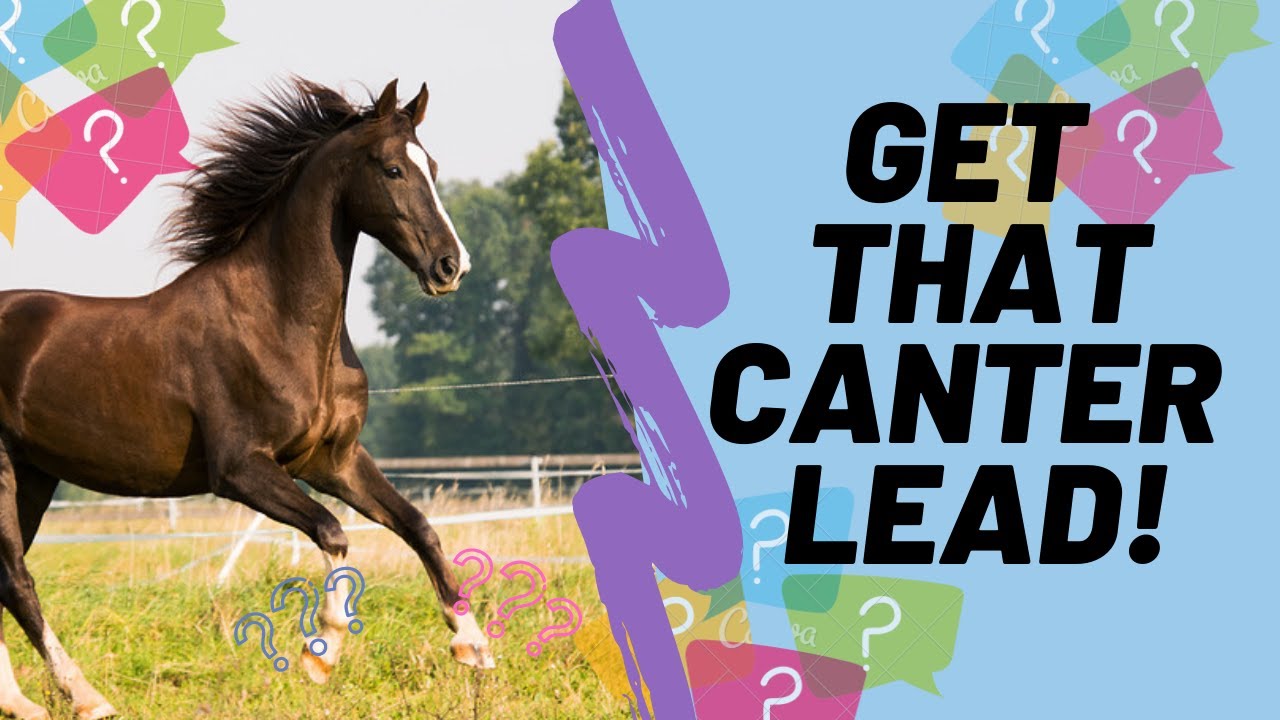 HOw to Get the Correct Canter Lead