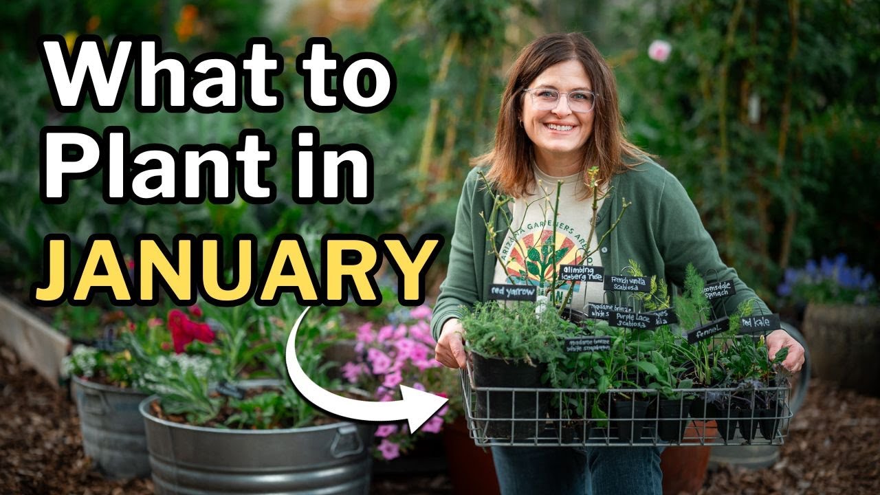 JANUARY PLANTING GUIDE: Top Veggies, Fruit Trees, Flowers & Herbs For Mild Winter Gardens