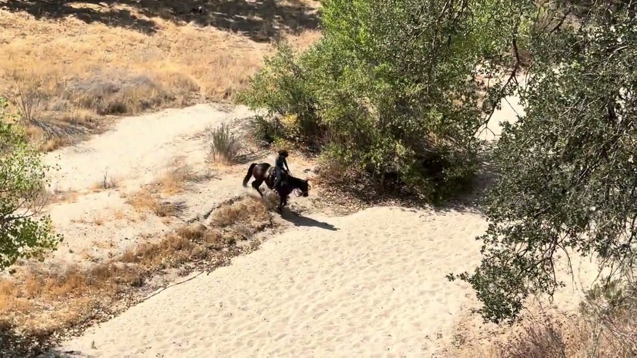 Ruf Montana Peppy - Trail and Obstacles